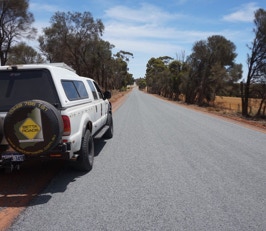 Betta Roads Patrol Vehicle 659